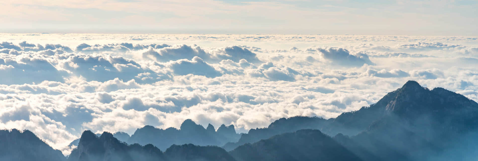 KY(中国)一站式服务平台简介